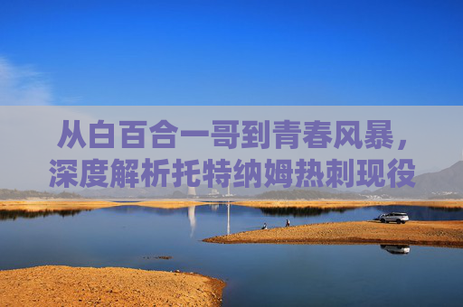 从白百合一哥到青春风暴,深度解析托特纳姆热刺现役豪华阵容