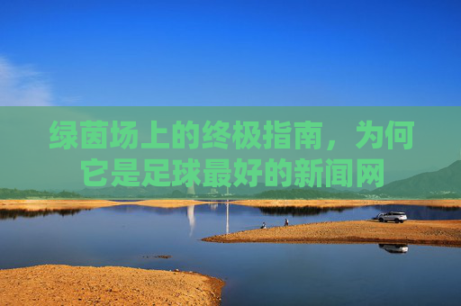绿茵场上的终极指南,为何它是足球最好的新闻网
