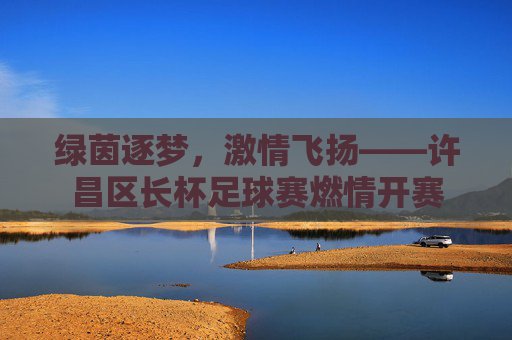 绿茵逐梦,激情飞扬——许昌区长杯足球赛燃情开赛