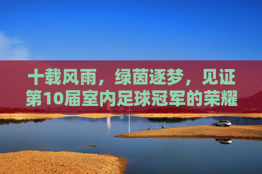 十载风雨,绿茵逐梦,见证第10届室内足球冠军的荣耀时刻
