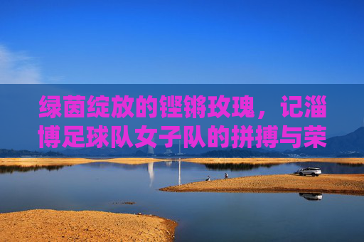 绿茵绽放的铿锵玫瑰，记淄博足球队女子队的拼搏与荣光