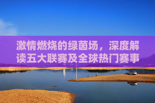 激情燃烧的绿茵场,深度解读五大联赛及全球热门赛事动态