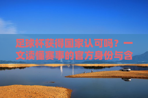 足球杯获得国家认可吗?一文读懂赛事的官方身份与含金量