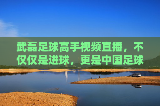 武磊足球高手视频直播，不仅仅是进球，更是中国足球的硬核实力展示