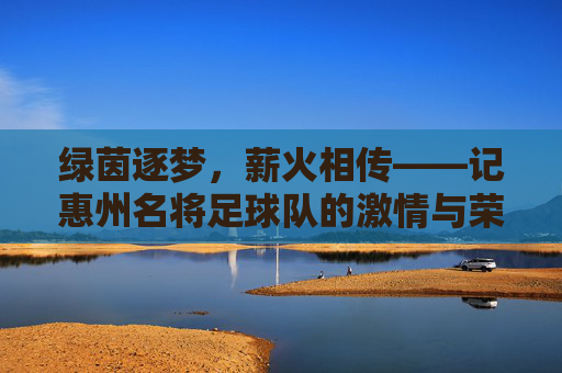 绿茵逐梦，薪火相传——记惠州名将足球队的激情与荣光