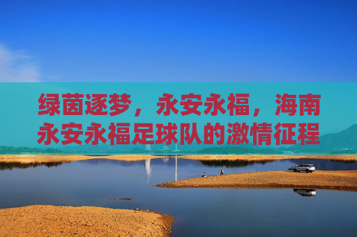 绿茵逐梦,永安永福,海南永安永福足球队的激情征程