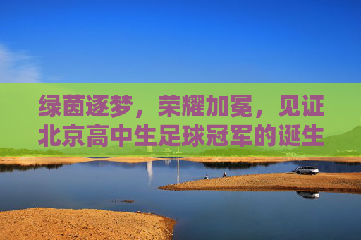 绿茵逐梦,荣耀加冕,见证北京高中生足球冠军的诞生