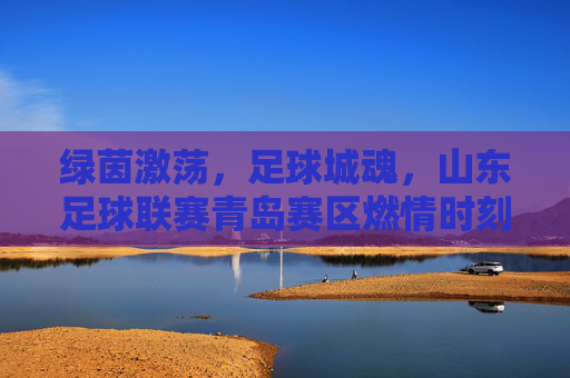 绿茵激荡,足球城魂,山东足球联赛青岛赛区燃情时刻