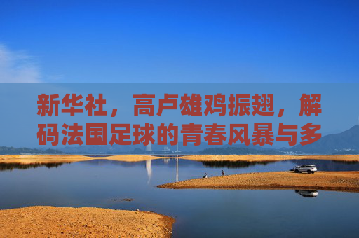 新华社,高卢雄鸡振翅,解码法国足球的青春风暴与多元底蕴