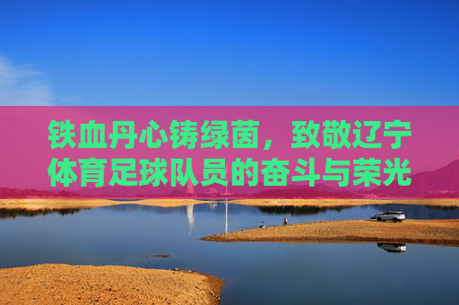铁血丹心铸绿茵,致敬辽宁体育足球队员的奋斗与荣光
