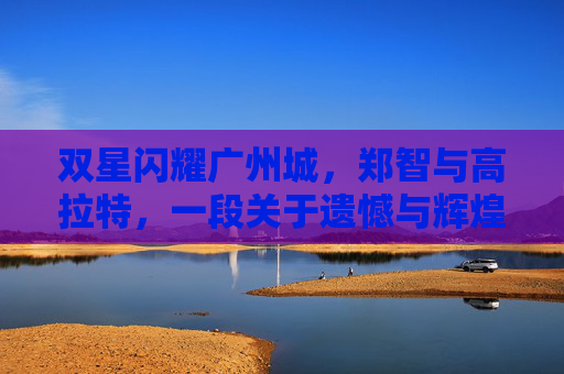 双星闪耀广州城，郑智与高拉特，一段关于遗憾与辉煌的足球往事
