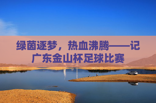 绿茵逐梦,热血沸腾——记广东金山杯足球比赛