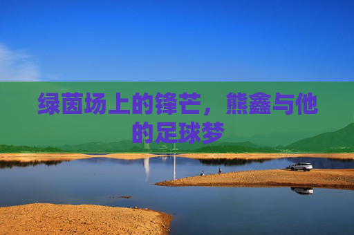 绿茵场上的锋芒,熊鑫与他的足球梦