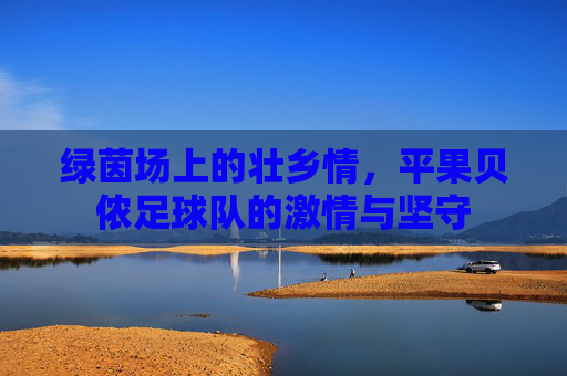 绿茵场上的壮乡情，平果贝侬足球队的激情与坚守