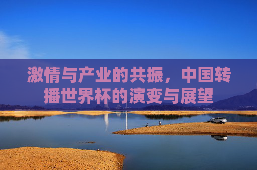 激情与产业的共振,中国转播世界杯的演变与展望