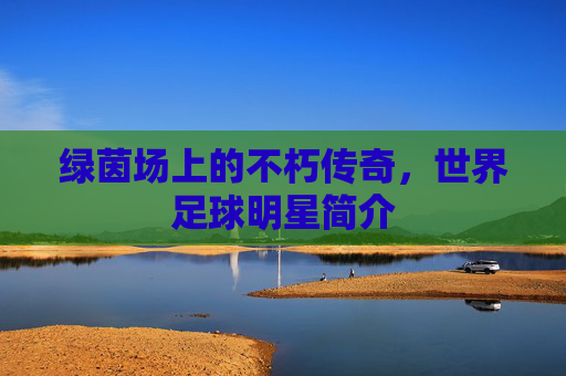 绿茵场上的不朽传奇,世界足球明星简介