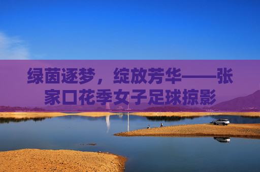 绿茵逐梦,绽放芳华——张家口花季女子足球掠影