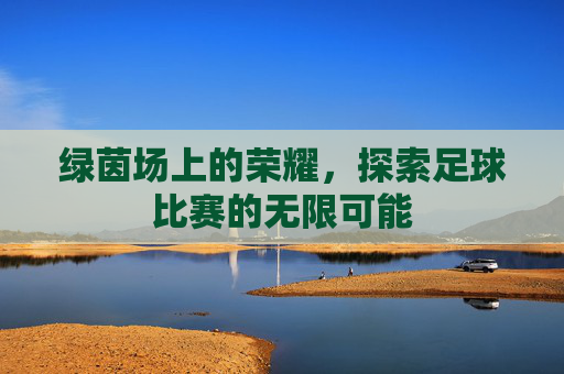 绿茵场上的荣耀，探索足球比赛的无限可能