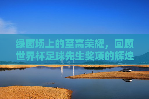 绿茵场上的至高荣耀，回顾世界杯足球先生奖项的辉煌历史