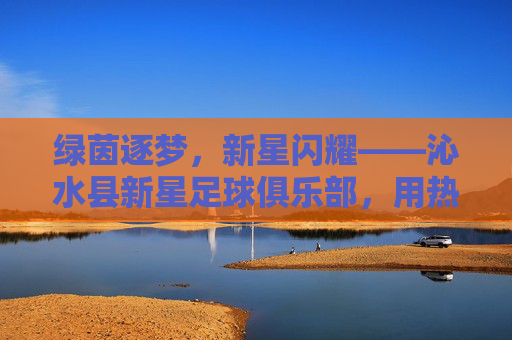 绿茵逐梦，新星闪耀——沁水县新星足球俱乐部，用热爱点燃青春