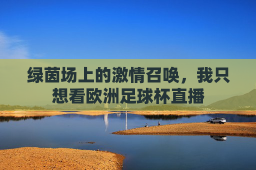 绿茵场上的激情召唤，我只想看欧洲足球杯直播