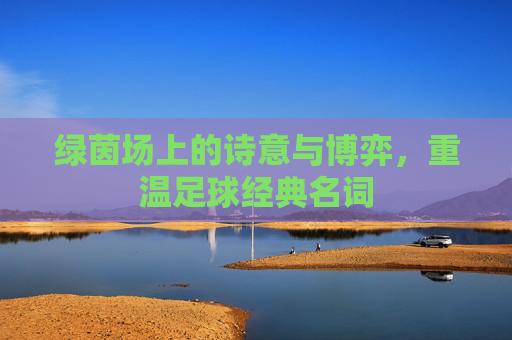 绿茵场上的诗意与博弈,重温足球经典名词