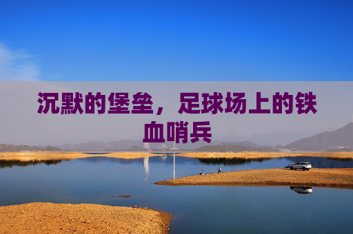沉默的堡垒，足球场上的铁血哨兵
