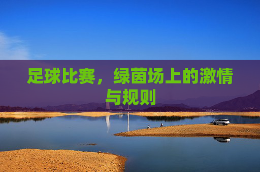 足球比赛，绿茵场上的激情与规则