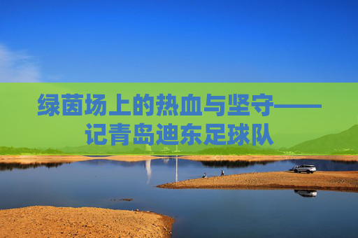 绿茵场上的热血与坚守——记青岛迪东足球队