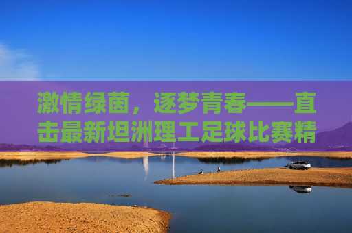 激情绿茵,逐梦青春——直击最新坦洲理工足球比赛精彩瞬间