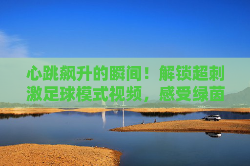 心跳飙升的瞬间!解锁超刺激足球模式视频,感受绿茵场上的极限狂飙