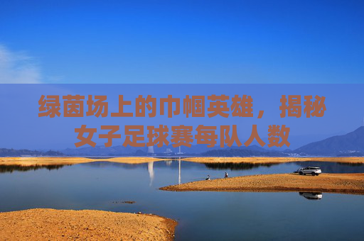绿茵场上的巾帼英雄,揭秘女子足球赛每队人数
