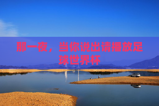 那一夜,当你说出请播放足球世界杯