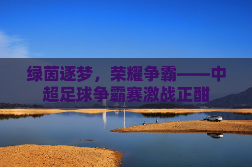 绿茵逐梦,荣耀争霸——中超足球争霸赛激战正酣