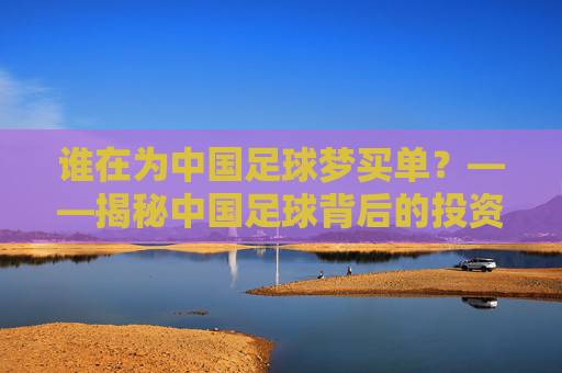 谁在为中国足球梦买单?——揭秘中国足球背后的投资力量