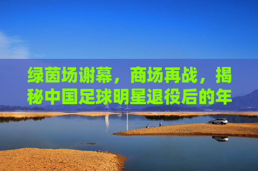 绿茵场谢幕，商场再战，揭秘中国足球明星退役后的年薪真相
