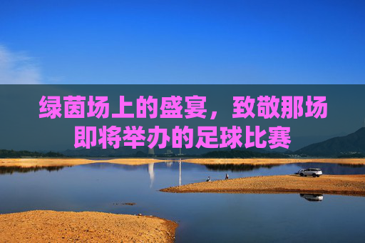 绿茵场上的盛宴，致敬那场即将举办的足球比赛