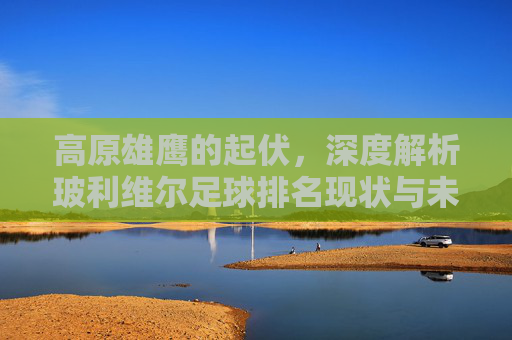高原雄鹰的起伏,深度解析玻利维尔足球排名现状与未来展望