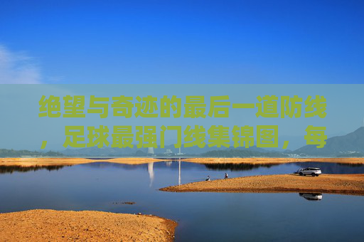 绝望与奇迹的最后一道防线,足球最强门线集锦图,每一帧都是心跳