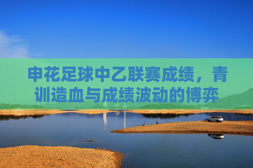 申花足球中乙联赛成绩,青训造血与成绩波动的博弈