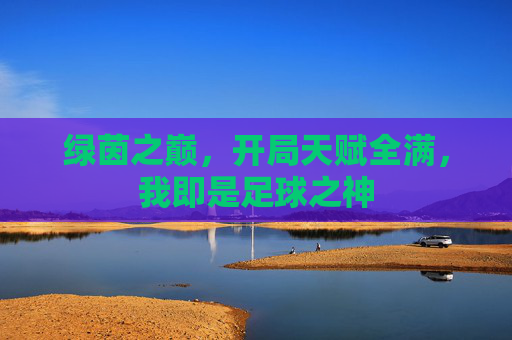 绿茵之巅，开局天赋全满，我即是足球之神