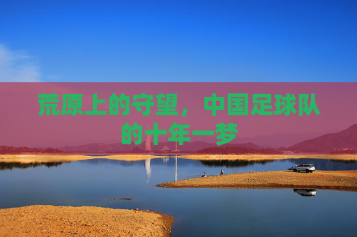荒原上的守望,中国足球队的十年一梦