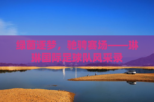 绿茵逐梦，驰骋赛场——琳琳国际足球队风采录
