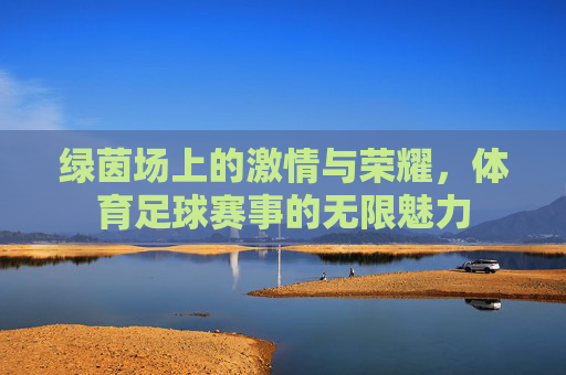 绿茵场上的激情与荣耀,体育足球赛事的无限魅力