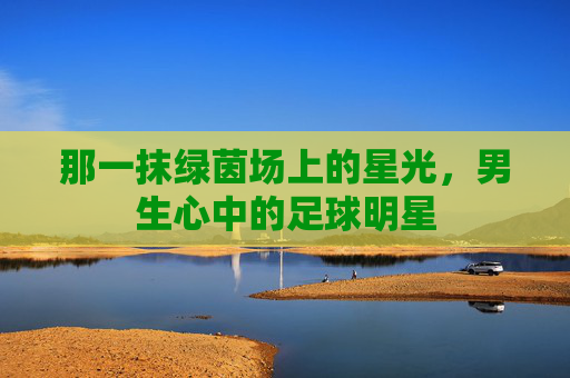 那一抹绿茵场上的星光，男生心中的足球明星