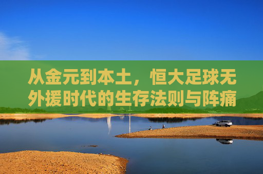 从金元到本土，恒大足球无外援时代的生存法则与阵痛