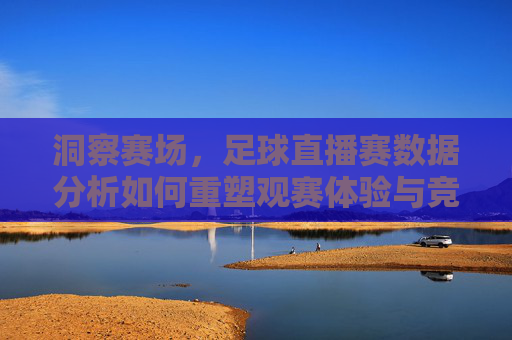 洞察赛场，足球直播赛数据分析如何重塑观赛体验与竞技决策