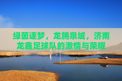 绿茵逐梦，龙腾泉城，济南龙鑫足球队的激情与荣耀