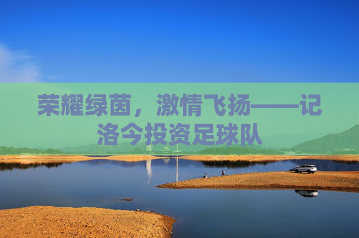 荣耀绿茵，激情飞扬——记洛今投资足球队