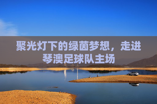 聚光灯下的绿茵梦想，走进琴澳足球队主场
